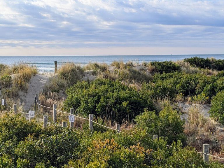 Cape May National Wildlife Refuge NJ Shore