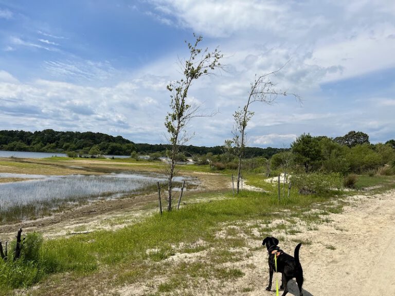 Egg Harbor Township Nature Reserve NJ Shore