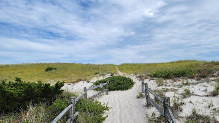 Forked River Interpretive Center NJ Shore