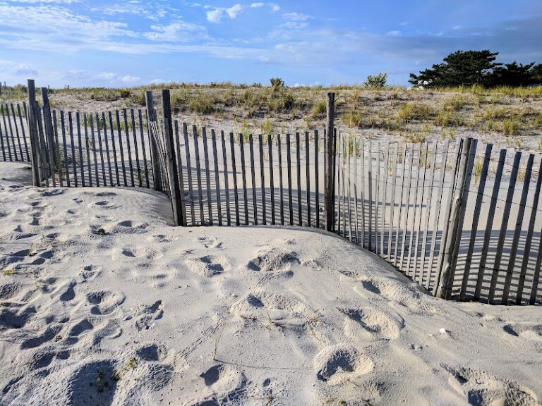 Holgate Wildlife Refuge NJ Shore