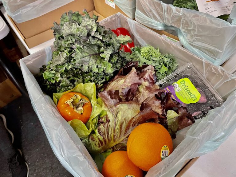 Just Organics Box restaurant Ocean City NJ