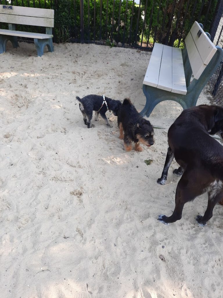 Margate City Dog Park NJ Shore