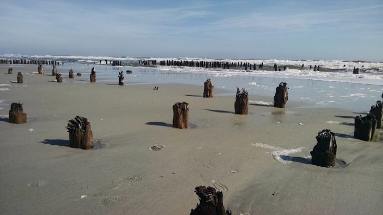 North Brigantine Natural Area NJ Shore