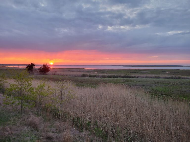 Port Republic Wildlife Management Area NJ Shore