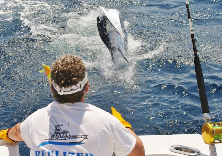 Reel Sport Fishing Charters restaurant Ocean City NJ