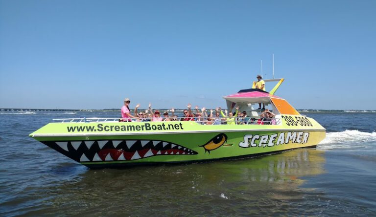 Screamer Speedboat & Dolphin Watch NJ Shore