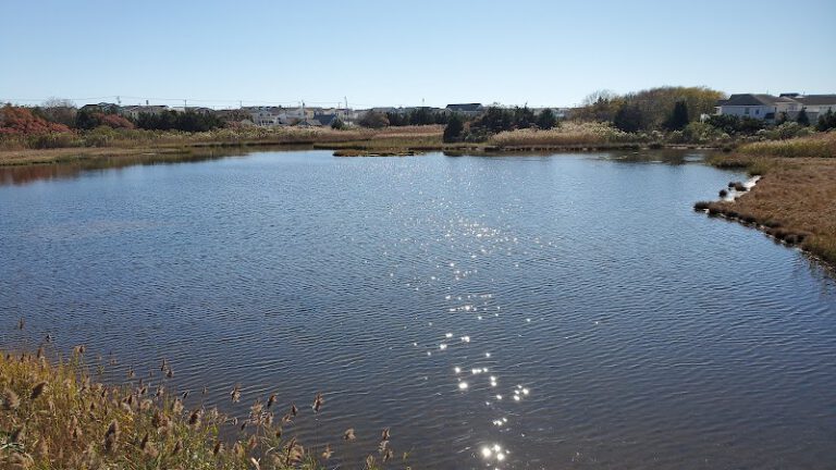 Stainton Wildlife Refuge NJ Shore