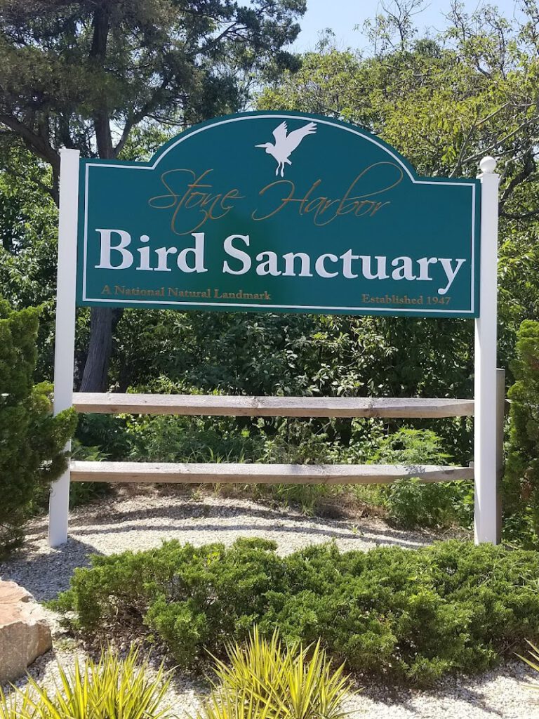 Stone Harbor Bird Sanctuary NJ Shore